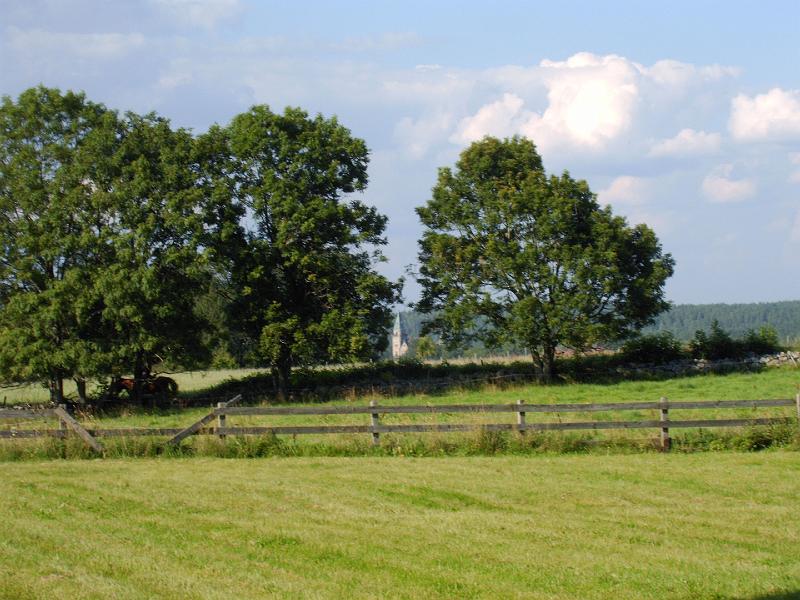 Bild 035